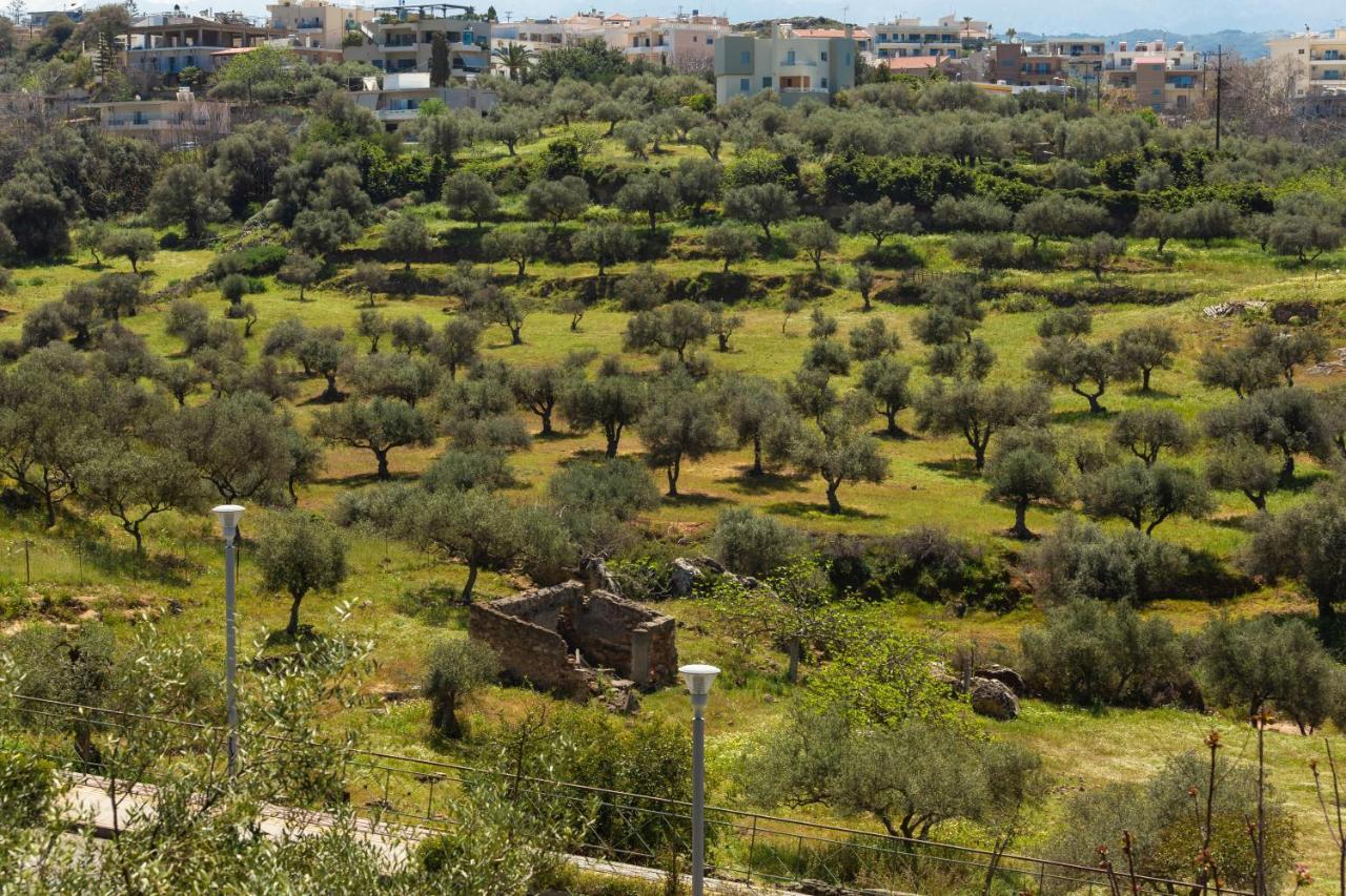 Luxury Apartment In Halepa Χανιά Εξωτερικό φωτογραφία